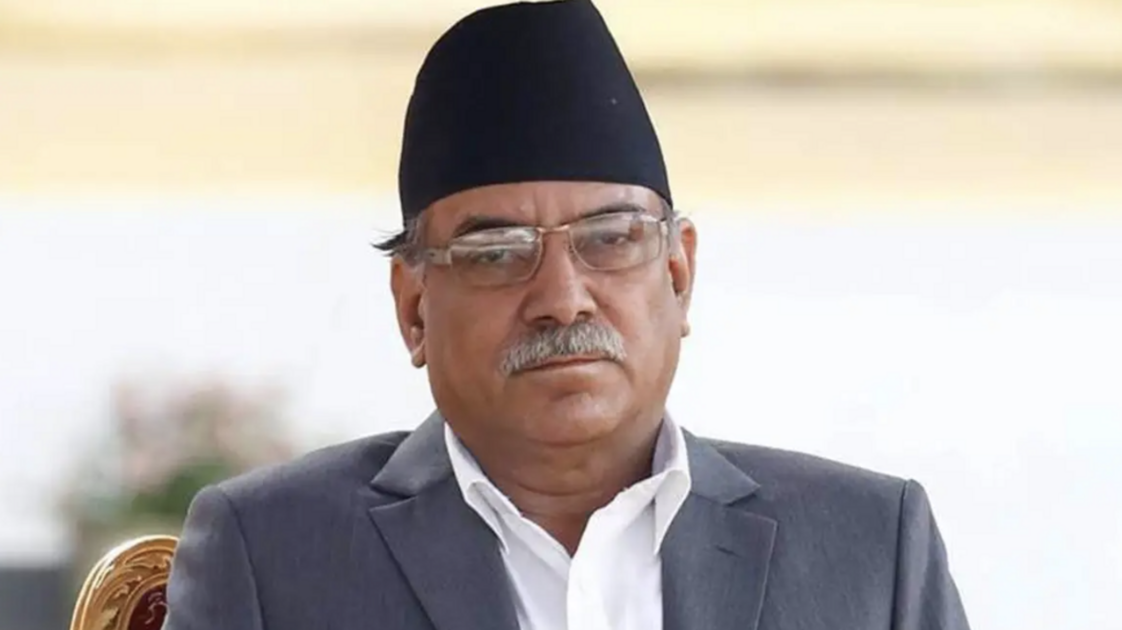 imageedit_4_9655544710