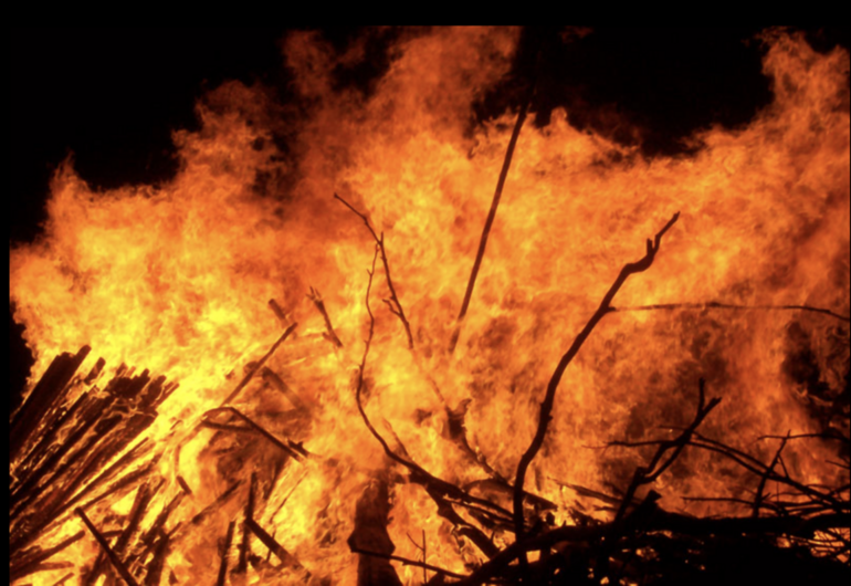 imageedit_23_9890455145